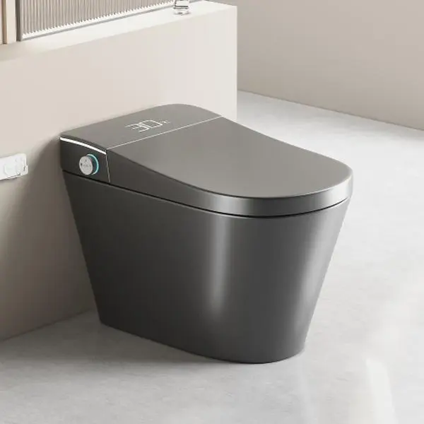 Bidet and toilet upgrade